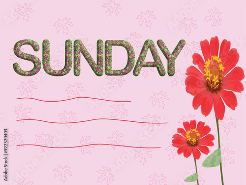 SUNDAY, card with flowers on pink background design, 