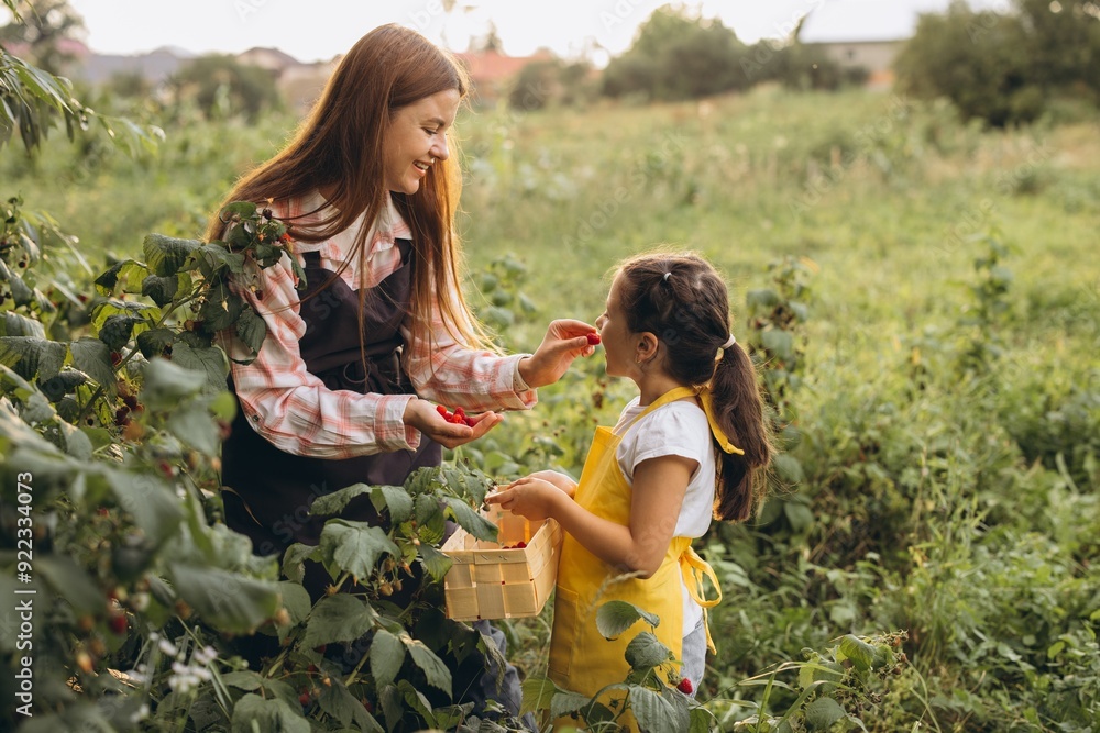 Naklejka premium Mother and Daughter Harvesting Fresh Raspberries Together in a Sunny Garden, Enjoying Quality Family Time in Nature