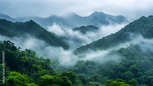 Misty Mountain Forest Landscape with Lush Vegetation and Dramatic Atmosphere