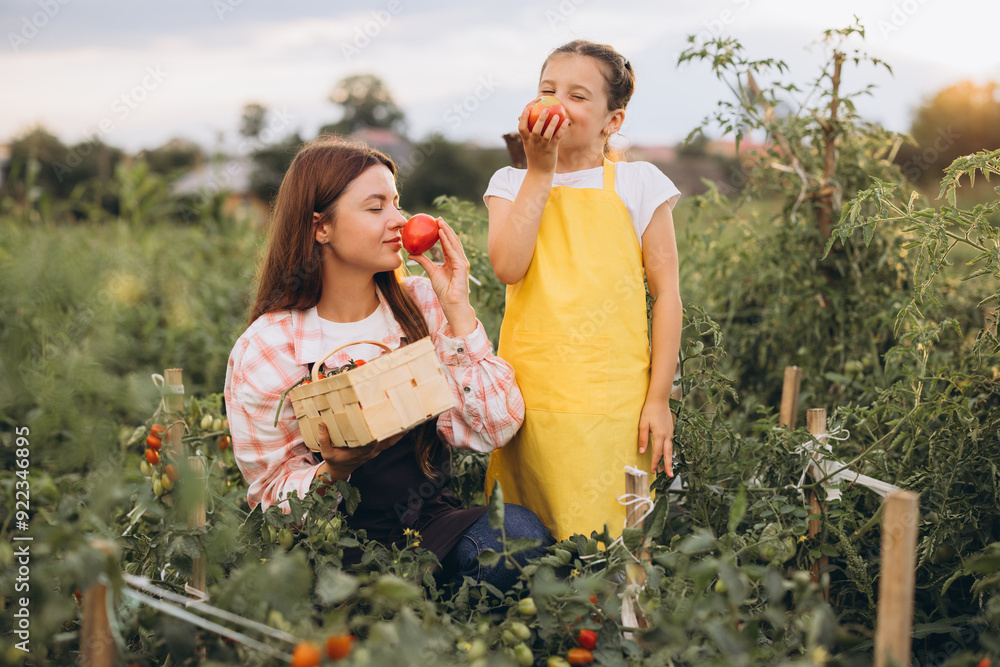 Fototapeta premium Mother and Daughter Enjoying Fresh Tomatoes in a Lush Green Garden During a Sunny Day