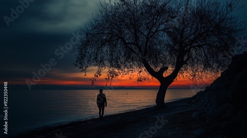 Solitary Sunset Contemplation. Generative AI
