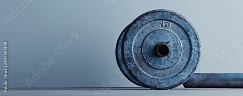 Minimalist weightlifting, single weight plate, white background, natural light