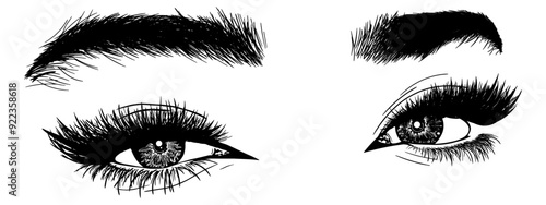 Illustration with woman's eyes, eyelashes and eyebrows. Realistic sexy makeup look. Tattoo design. Logo for brow bar or lash salon.