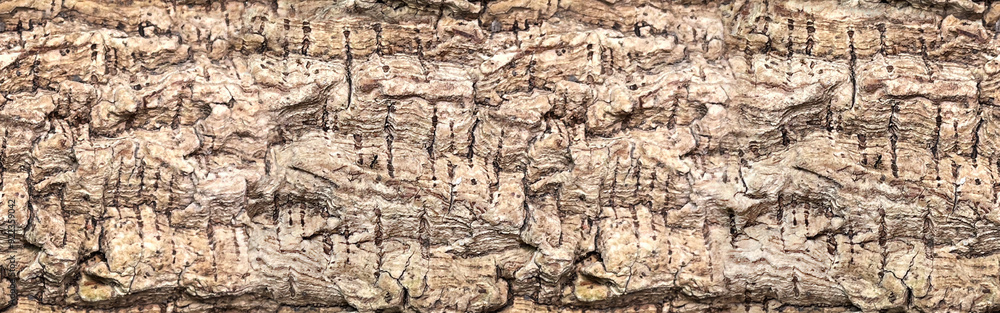 Tree bark texture Seamless background. Tree bark texture Seamless background.