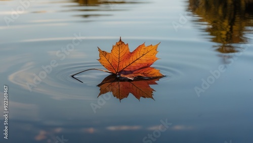 Single Autumn Leaf Floating on Water photo