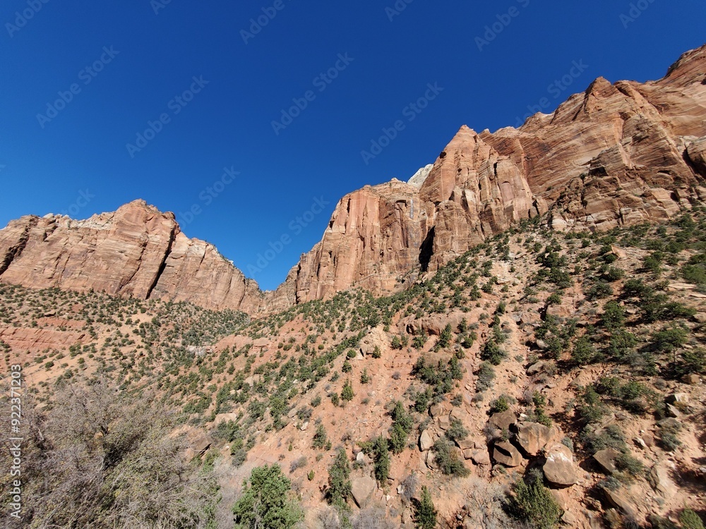 Fototapeta premium zion national park