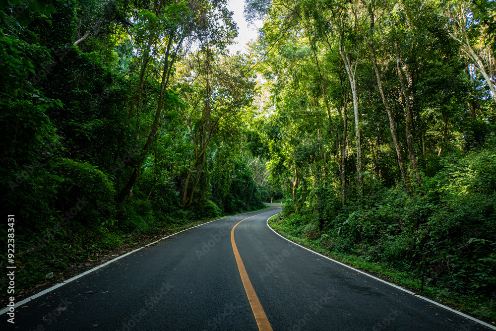 Fototapeta premium A rural road winds through a serene mountain vista, bordered by lush green forest under a blue sky at dawn in Doi Phuka National Park, Nan Province, Thailand