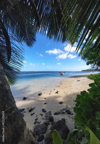 Sunny beach view through palm leaves in Bel Ombre, Mauritius, Africa.