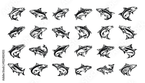 salmon fish silhouette design bundle set with white background