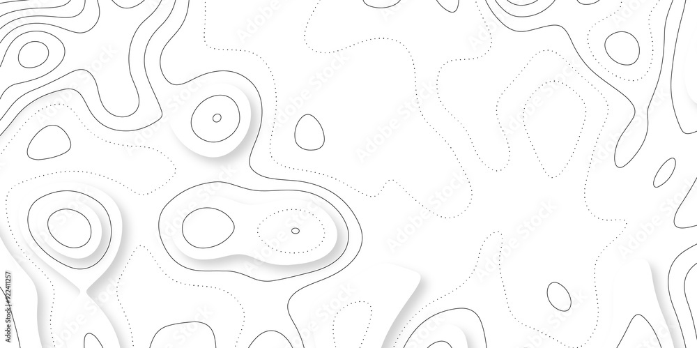Abstract lines background. Contour maps. Vector illustration. The stylized height of the topographic map contour in lines and contours isolated on transparent. technology topo landscape grid map text Abstract lines background. Contour maps. Vector illustration. The stylized height of the topographic map contour in lines and contours isolated on transparent. technology topo landscape grid map text