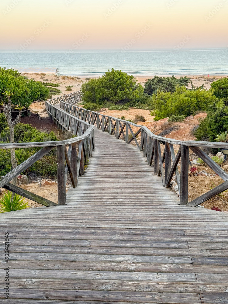 Obraz premium sand dunes that give access to La Barrosa beach in Sancti Petri, Cadiz, Spain