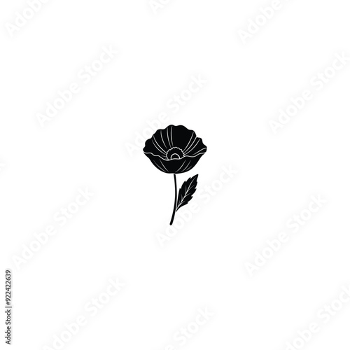 flower isolated