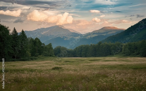 landscape in the morning