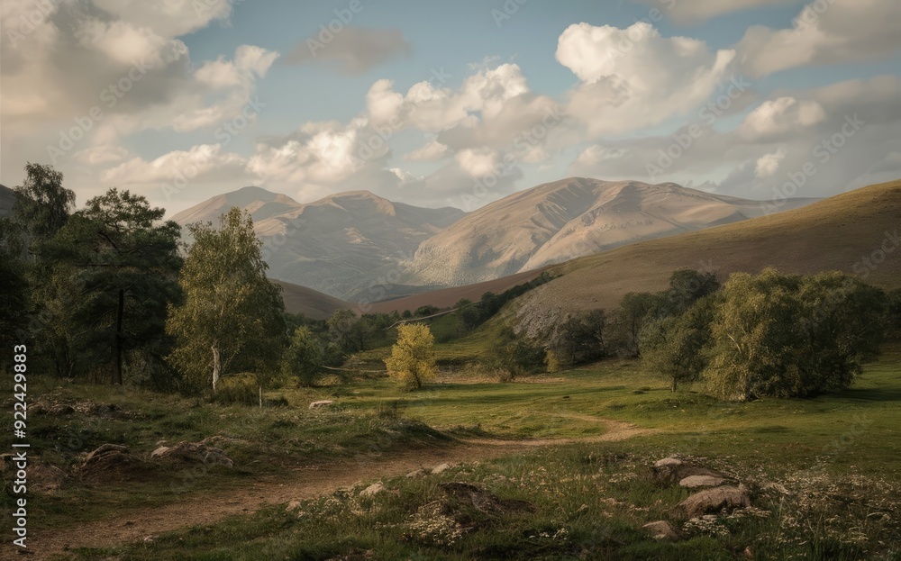 Naklejka premium landscape in the morning