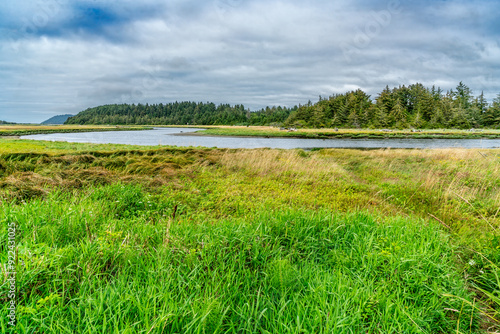 Copalis River Landscape 4 photo