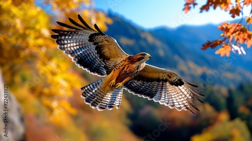 A wildlife image of a hawk soaring above a mountain range, symbolizing vision and freedom in entrepreneurship.