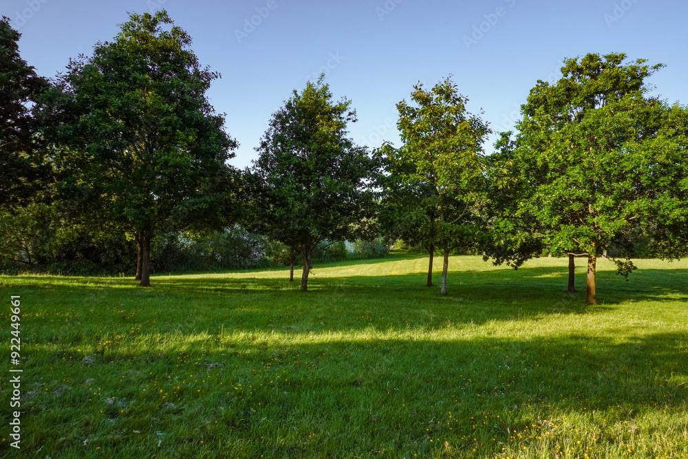 A serene pak in Northern Ireland, offering a peaceful retreat amidst nature's beauty. A serene pak in Northern Ireland, offering a peaceful retreat amidst nature's beauty.