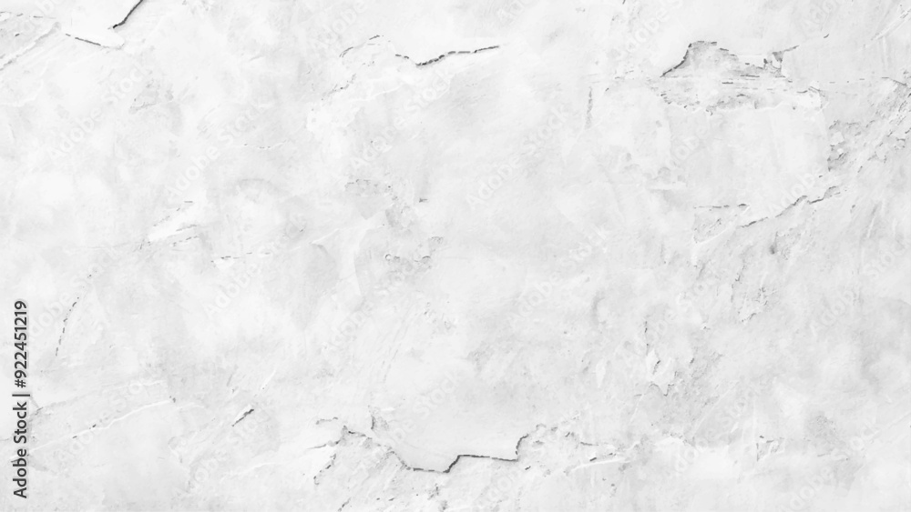 Fototapeta premium background and texture of white concrete wall. Light Gray Stucco Texture Background. Premium White Wallpaper with copy-space.