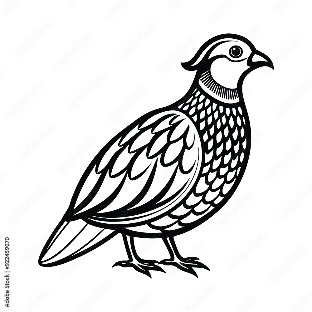 Fototapeta premium Quail Silhouette bird illustration
