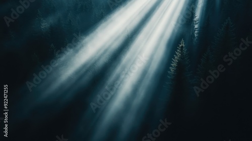 An enchanting forest with mist and beams of sunlight illuminating treetops. The serene ambiance and play of light and shadow creates a captivating, dreamy landscape.