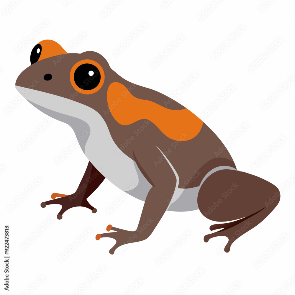 Common coqui frog art vector illustration Common coqui frog art vector illustration