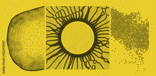 A hole created from small particles striving from the center. An abstract cell represented as an object made of points. An array with dynamic particles. Scientific and technical background. Vector.