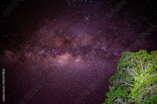 Milky Way in the Amazon jungle of Peru