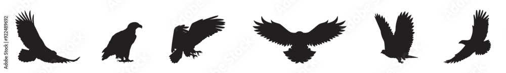 Obraz premium Set of Eagle silhouette.