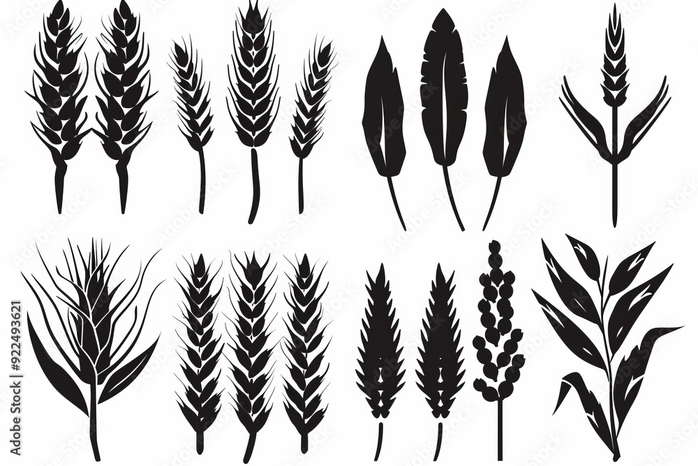 Wheat icon, rye ears sign, barley emblem, oats, cereals symbol, wheat ear, seeds, corns set Wheat icon, rye ears sign, barley emblem, oats, cereals symbol, wheat ear, seeds, corns set
