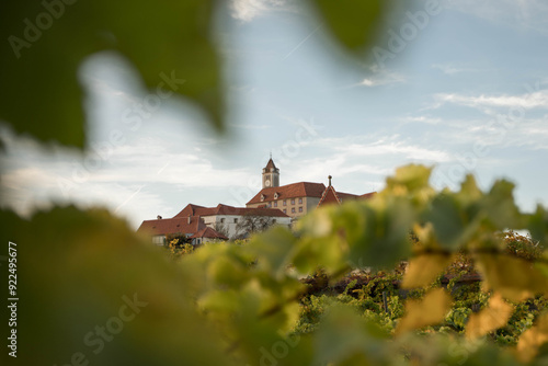 Riegersburg in Styria, Austria photo