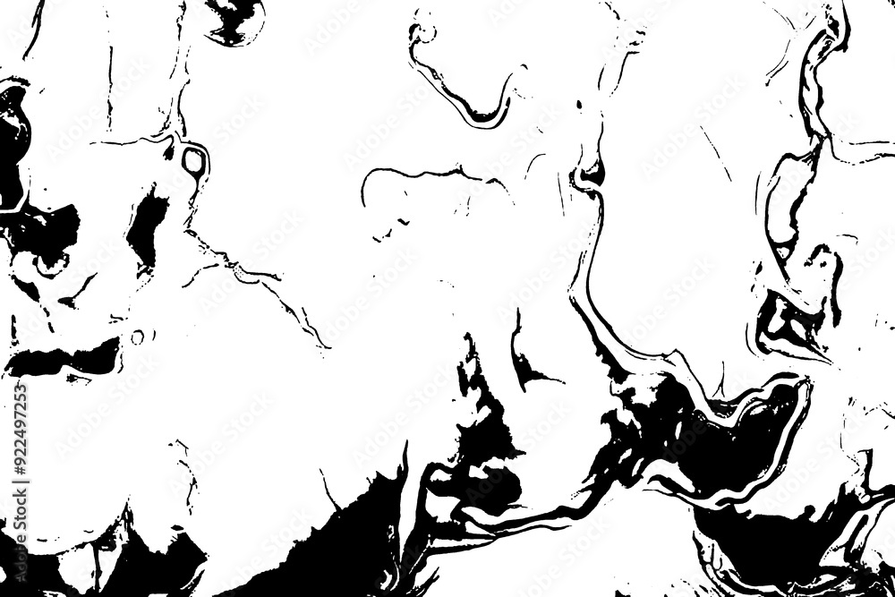 Distressed Black and White Grunge Texture Overlay Distressed Black and White Grunge Texture Overlay