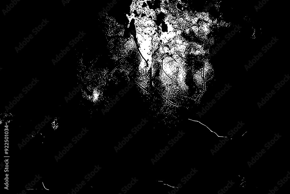 Obraz premium Distressed Black and White Grunge Texture Overlay