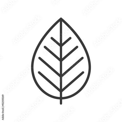 Outline Illustration of a Simple Leaf with Veins
