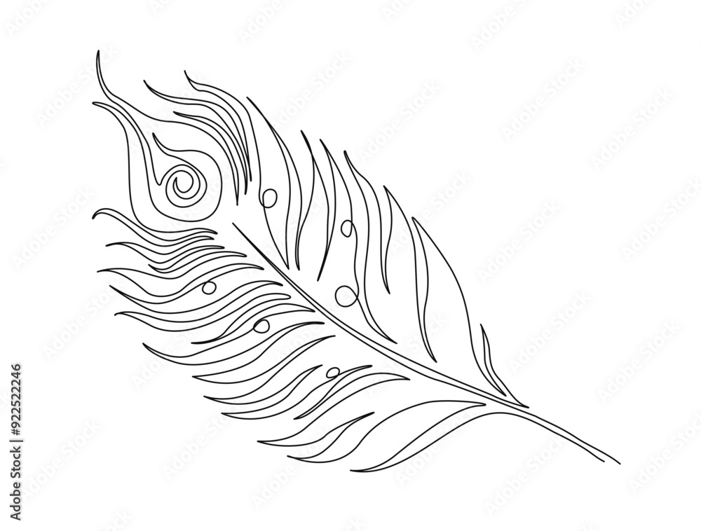 Continuous one line drawing of exotic peacock feather. Peacock feather single line vector illustration. Editable line vector. Continuous one line drawing of exotic peacock feather. Peacock feather single line vector illustration. Editable line vector.