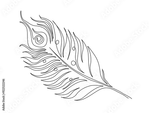 Continuous one line drawing of exotic peacock feather. Peacock feather single line vector illustration. Editable line vector.