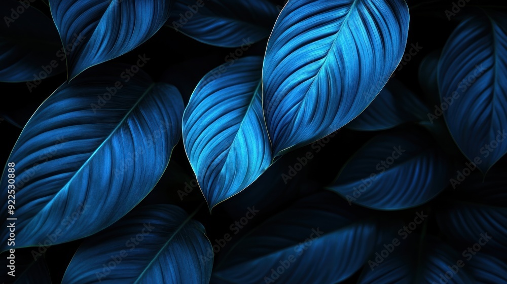 Dark Blue Tropical Leaves Dark Blue Tropical Leaves