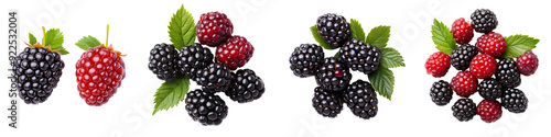 Fresh Blackberries and Raspberries Isolated on White Background - Perfect for Food and Drink Designs!