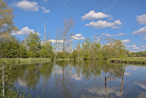 Pool with reflection of trees, blue sky and clouds on a sunny spring day in Bourgoyen nature reserve, Ghent, Flanders, Belgium 