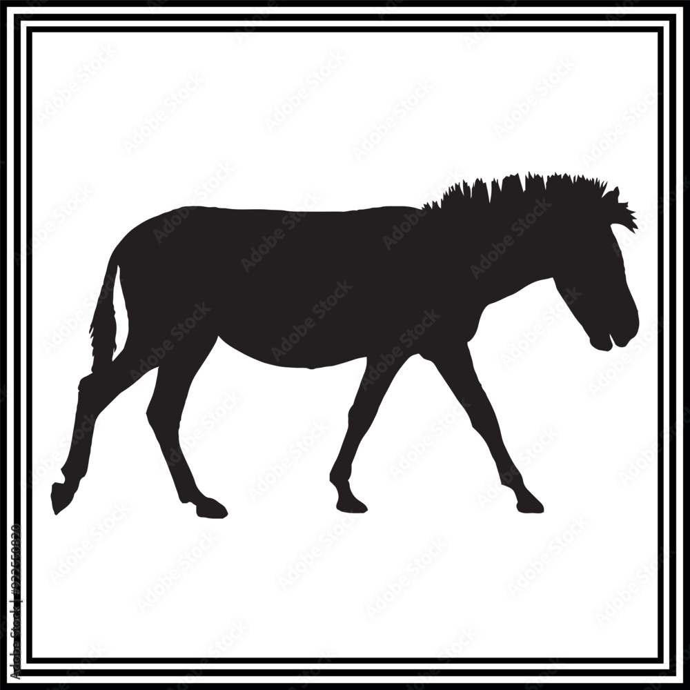 Obraz premium Walking zebra silhouette.