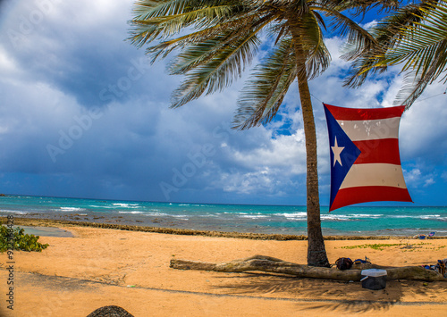 beach with palm trees