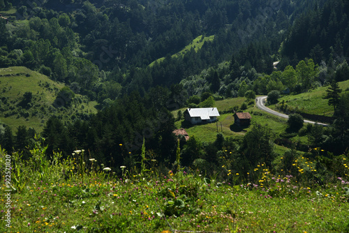 A view from Bostan Village in Kastamonu, Turkey
 photo