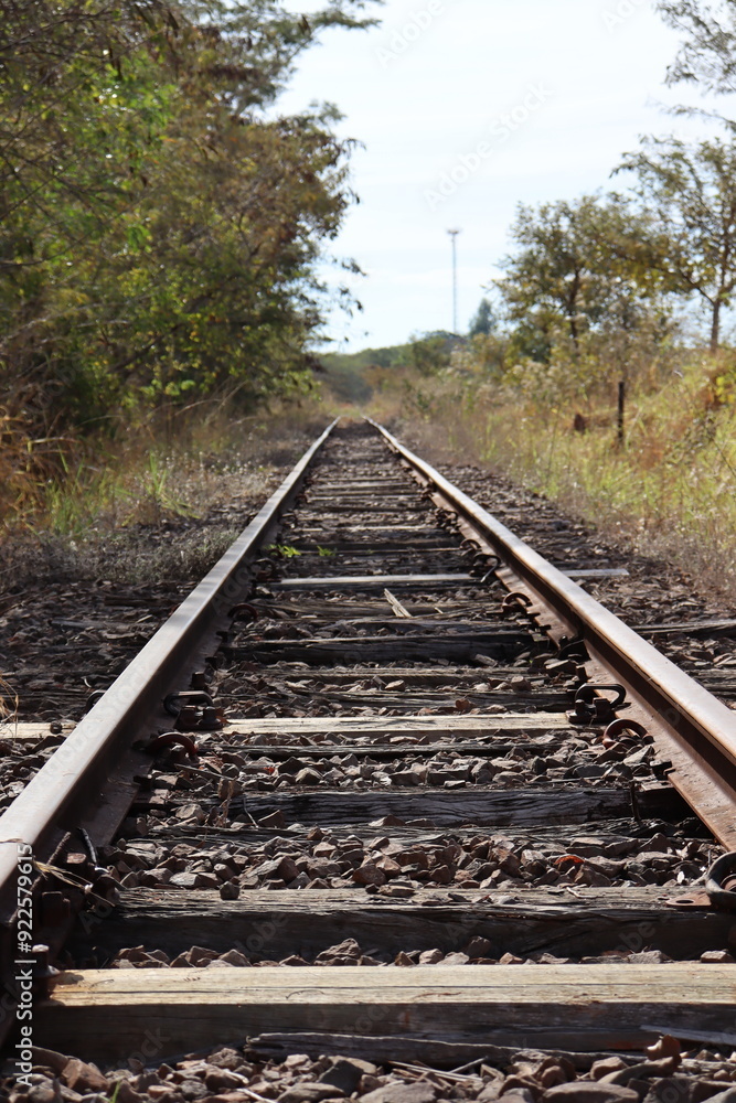 Train track with lots of trees and bushes around. Train track continues until it disappears into the horizon amidst the landscape. Train track with lots of trees and bushes around. Train track continues until it disappears into the horizon amidst the landscape.