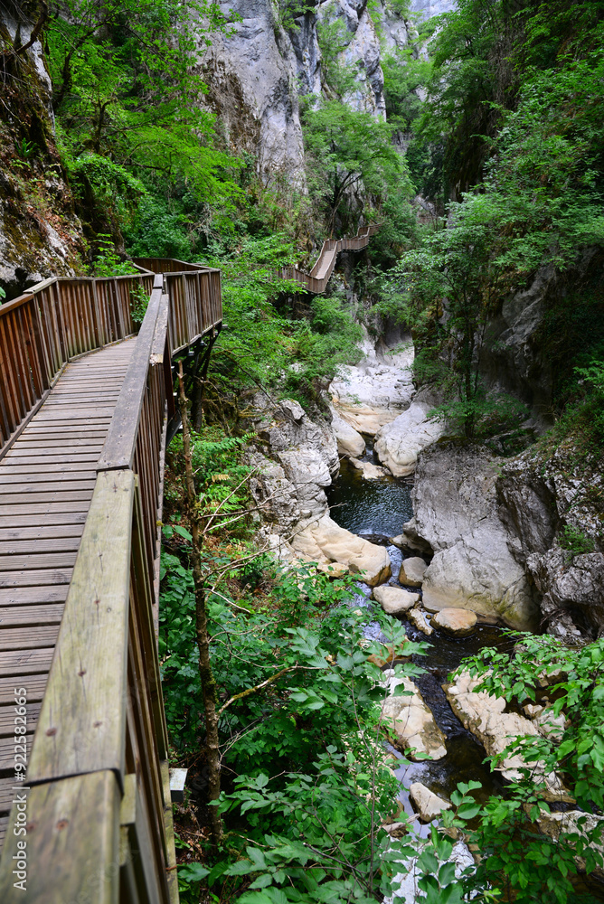 A view from the Horma Canyon hike in Pinarbasi, Kastamonu, Turkey
A view from the Horma Canyon hike in Pinarbasi, Kastamonu, Turkey