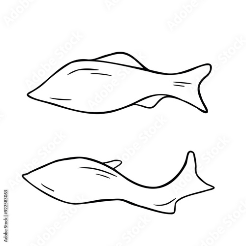 Silhouettes salmon, trout black and white vector illustration isolated. Swimming fishes hand drawn ink silhouette. Simple sea fish in contour. Fish elements for package, label, menu, market