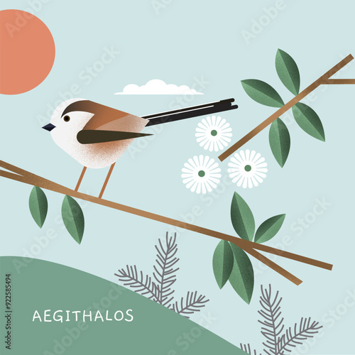 Long tailed tit, Aegithalos caudatus bird, perched on a branch, vector illustration