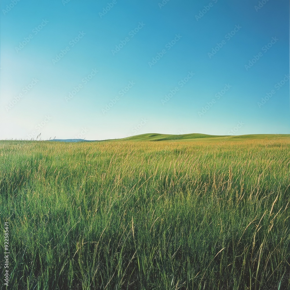 A vast green savannah landscape, with tall grasses swaying under a clear blue sky A vast green savannah landscape, with tall grasses swaying under a clear blue sky