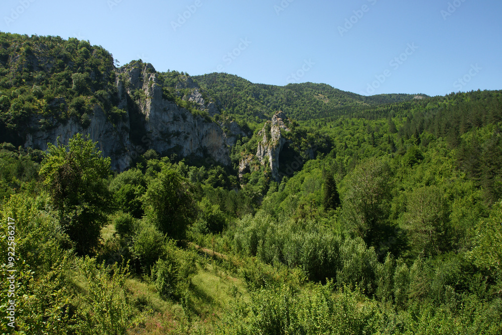 A view from the Horma Canyon hike in Pinarbasi, Kastamonu, Turkey
A view from the Horma Canyon hike in Pinarbasi, Kastamonu, Turkey