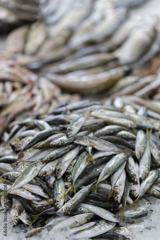 Small fish are sold at the fish market. Small fish are sold at the fish market.
