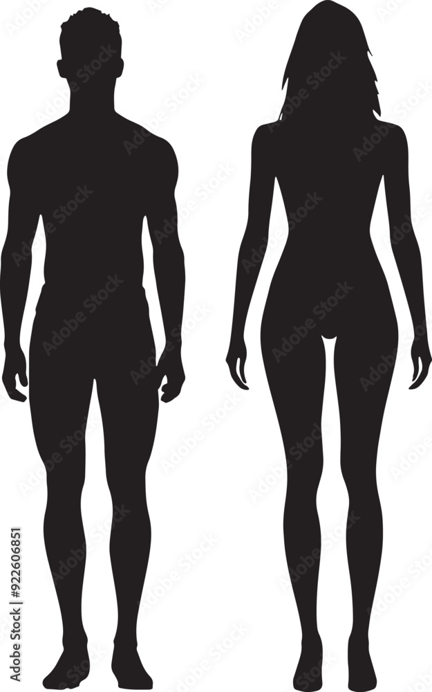 Black silhouette of a man and a woman. Male and female gender. Body silhouettes for medicine. Black silhouette of a man and a woman. Male and female gender. Body silhouettes for medicine.