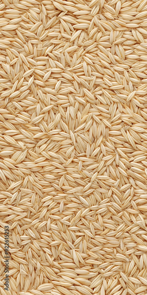 A lot of raw rice grains in the background, seamless texture A lot of raw rice grains in the background, seamless texture
